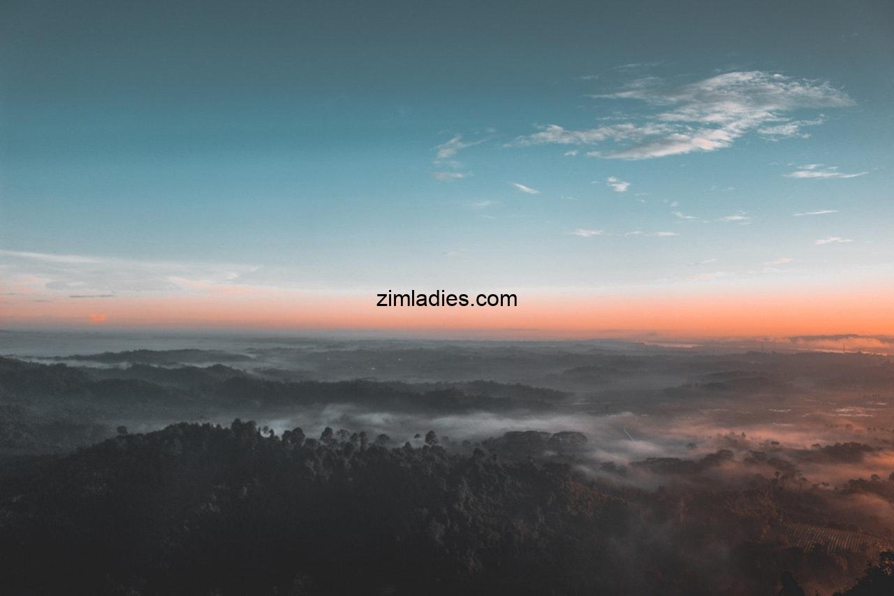 Bird S Eye View Photography Of Green Forest 1208379
